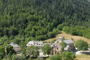 PLANTES COMESTIBLES EN FORET ET A L’ABBAYE