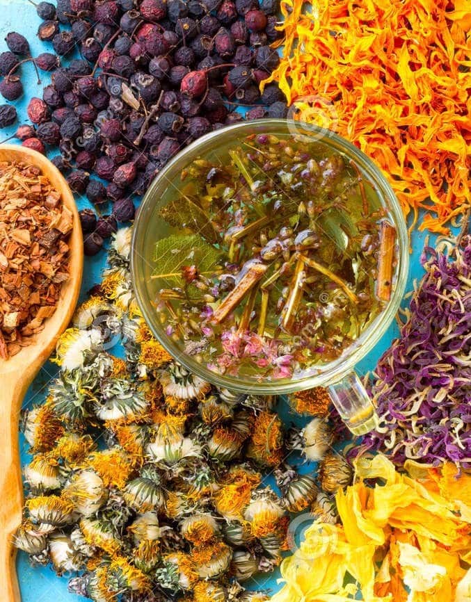 DU JARDIN À LA TISANE