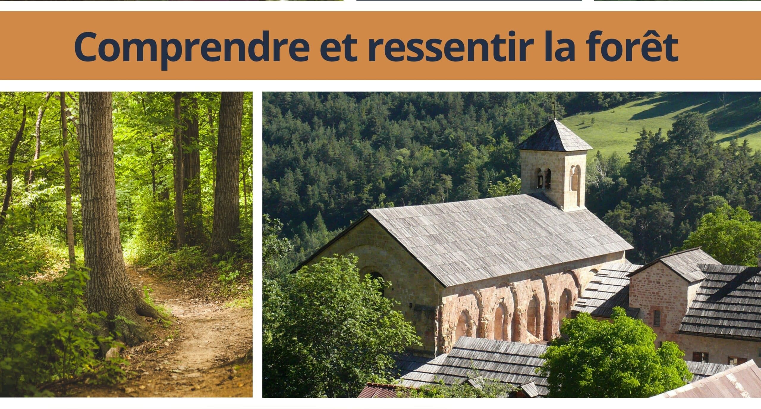 Comprendre et ressentir la forêt