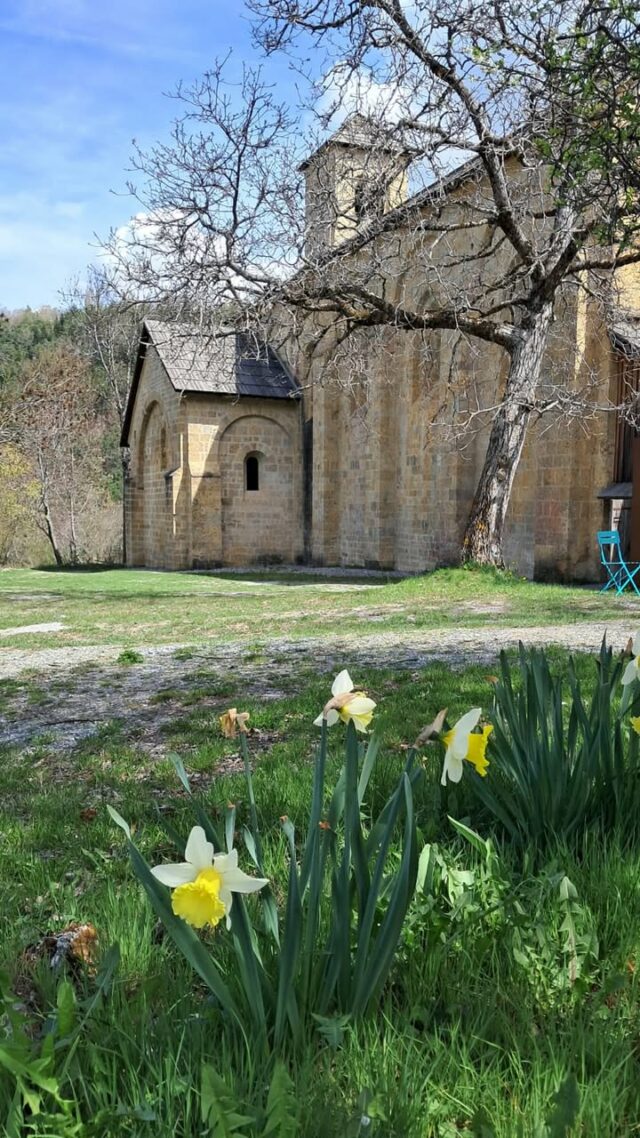 L'Abbaye de Boscodon vous accueille tous les jours de 10h à 13h (12h-13h le dimanche) et de 14h30 à 17h30.