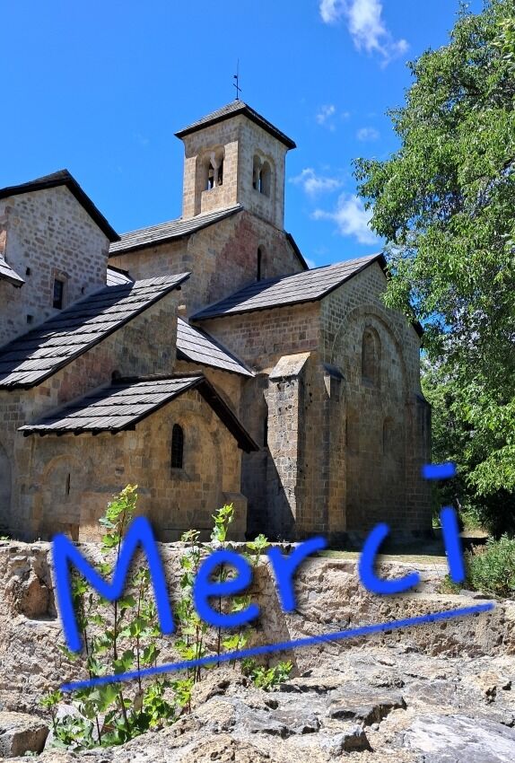 🙏 Un grand MERCI à vous, chers visiteurs, qui avez fait une halte dans notre abbaye cet été, qui l'avait visitée librement ou avec un de nos guides bénévoles.

Nous espérons que vous avez apprécié votre passage dans notre belle abbaye et êtes repartis satisfaits✨

🗣️ Pour information, l'abbaye reste ouverte en visite libre jusqu'à début novembre.