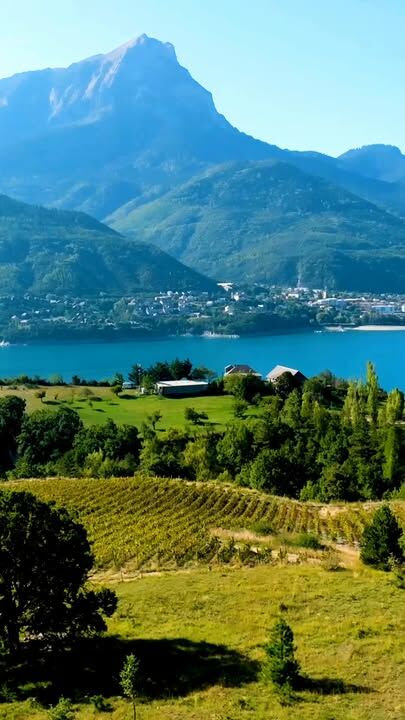 Clin d'œil à nos moines qui ont acheté ces terres et planté des vignes dès le Moyen-Age 🍇 Domaine du Mont Guillaume
