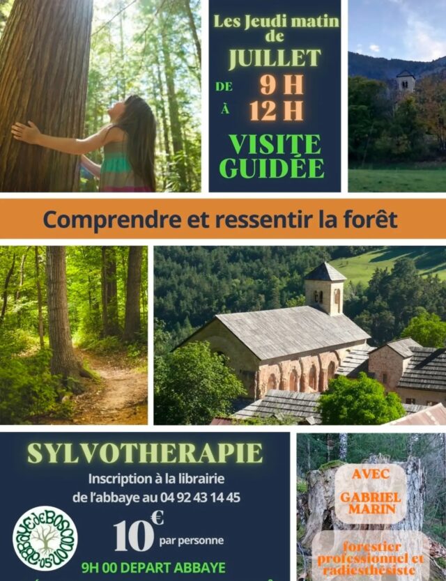 [SYLVOTHERAPIE] 🌲

#sylvothérapie #abbayedeboscodon #bienêtre #serreponcon #hautesalpestourisme