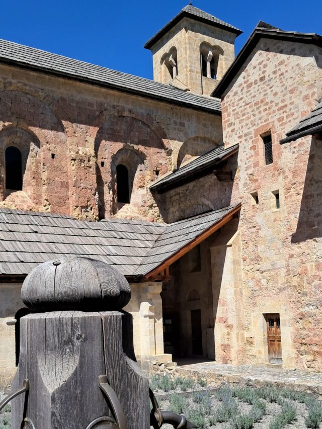 🗣 Plus que 3 jours pour profiter des visites guidées de l'Abbaye ✨️
🗓 visites guidées : 29, 30 et 31 août à 15h.
#abbayedeboscodon #crots #embrun #embrunais #embruntourisme #serreponcon #boscodon #hautesalpes #hautesalpes05 #hautesalpestourisme #patrimoine #patrimoinefrancais #abbaye #abbayeromane #architectureromane #monumenthistorique