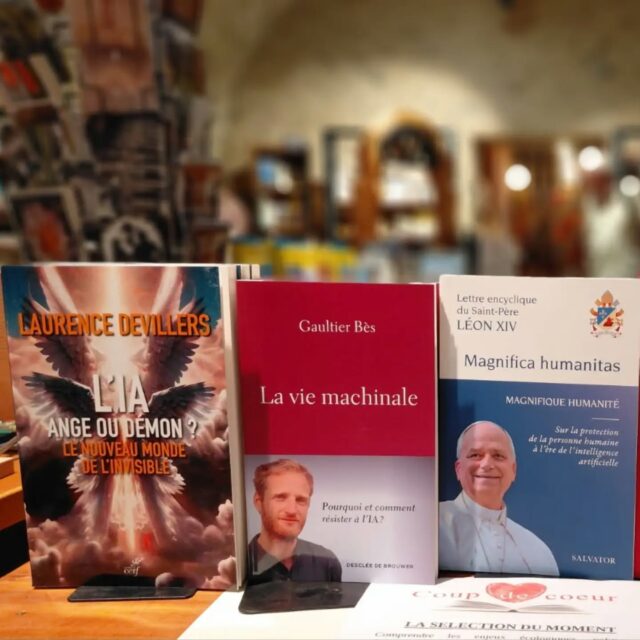 [COUP DE COEUR] 📚 A retrouver à la librairie-boutique de l'abbaye.

🕙  Horaires d'ouverture :
lundi au samedi : 10h-13h et 14h-18h30
dimanche : 11h-13h et 14h-18h30

@boscodonabbaye05 #abbayedeboscodon #serreponcon #embrun #hautesalpestourisme #hautesalpes