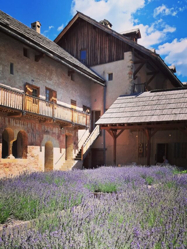 Encore une belle journée qui s'annonce ☀️ On vous attend dès 9h30 ✨️

🗣 Rappel : visites guidées tous les jours à 15h.

🕙  Horaires d'ouverture :
lundi au samedi : 9h30-13h30 et 14h30-18h30
dimanche : 10h-13h30 et 14h30-18h30

@boscodonabbaye05 #abbayedeboscodon #serreponcon #embrun #hautesalpestourisme #hautesalpes