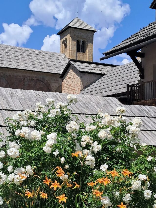 Vue sur le clocher de l'abbatiale ✨️

🕙  Horaires d'ouverture :
lundi au samedi : 10h-13h et 14h-18h30
dimanche : 11h-13h et 14h-18h30

@boscodonabbaye05 #abbayedeboscodon #serreponcon #embrun #hautesalpestourisme #hautesalpes