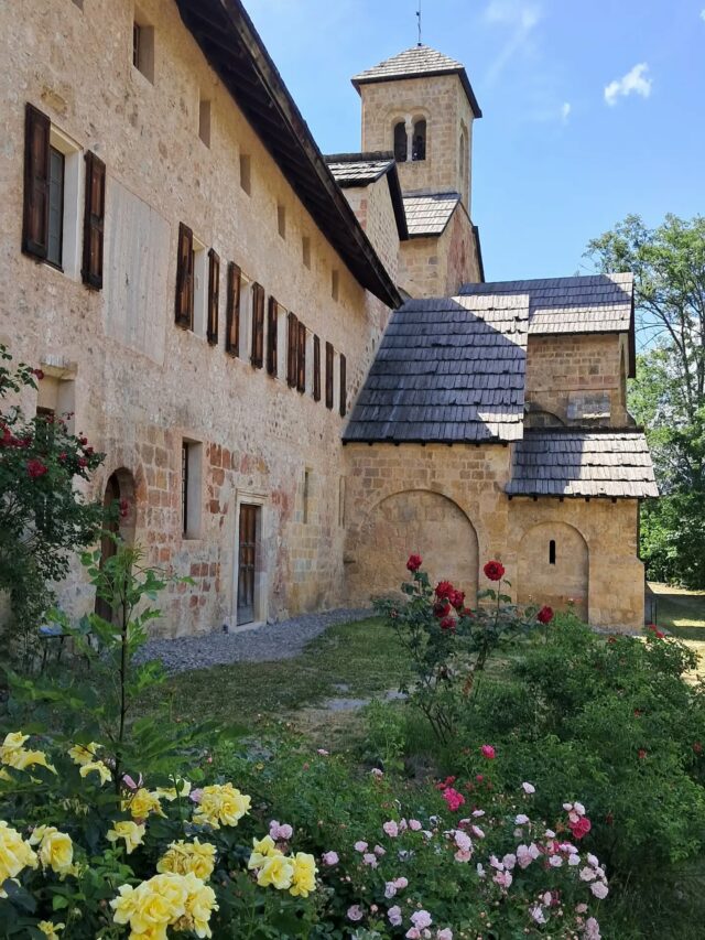 Ça sent l'été ☀️⚘️

🕙  Horaires d'ouverture :
lundi au samedi : 10h-13h et 14h-18h30
dimanche : 11h-13h et 14h-18h30

@boscodonabbaye05 #abbayedeboscodon #serreponcon #embrun #hautesalpestourisme #hautesalpes